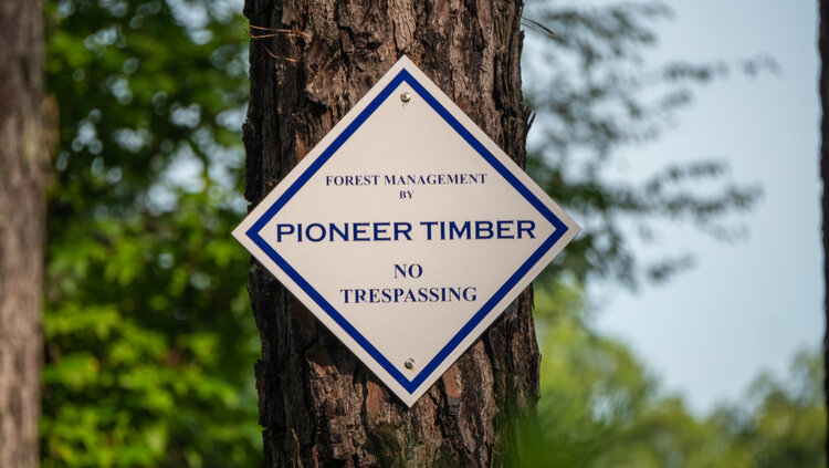 Image for Pioneer Farms: 660+/- Acre Pristine Timberland and Recreational Farm