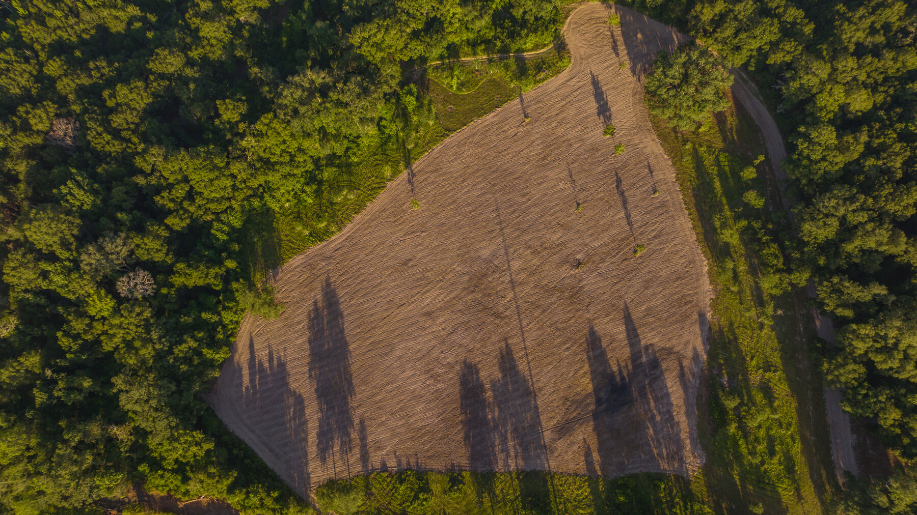 Image for 150+/- Acre Sportsman's Paradise and Beautiful Home Located in Mitchell County