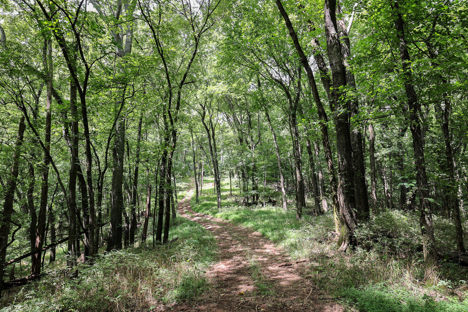 Image for 4303 Moore Lane, Culleoka