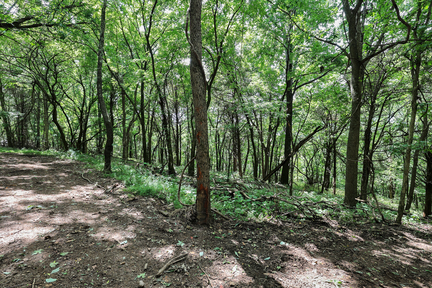 Image for 4303 Moore Lane, Culleoka