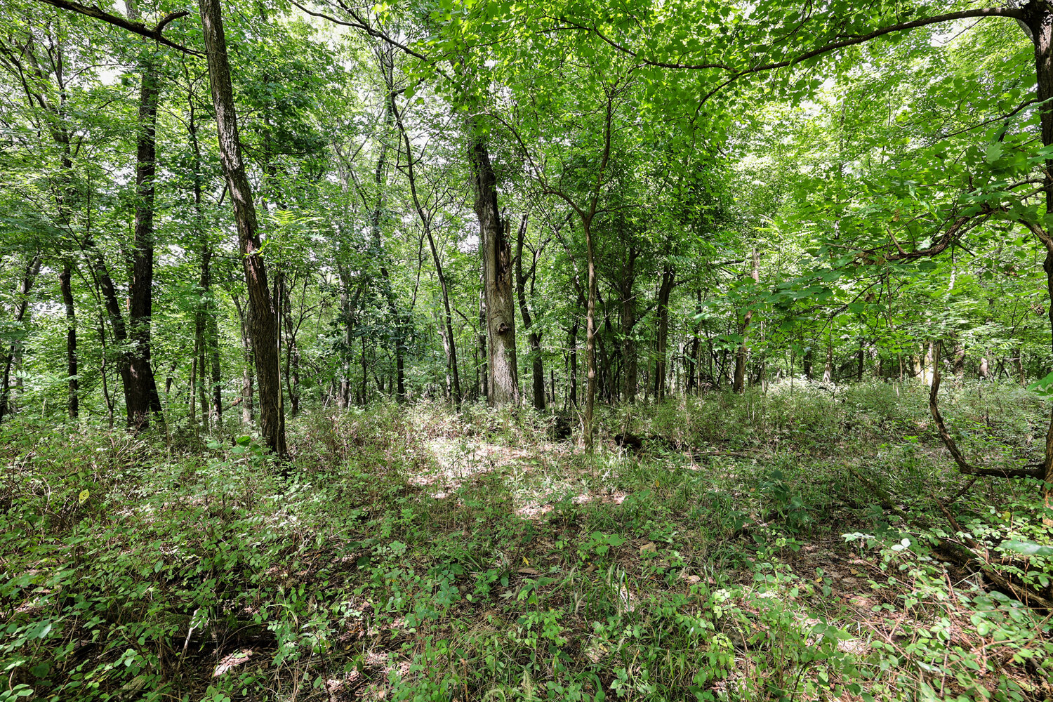 Image for 4303 Moore Lane, Culleoka