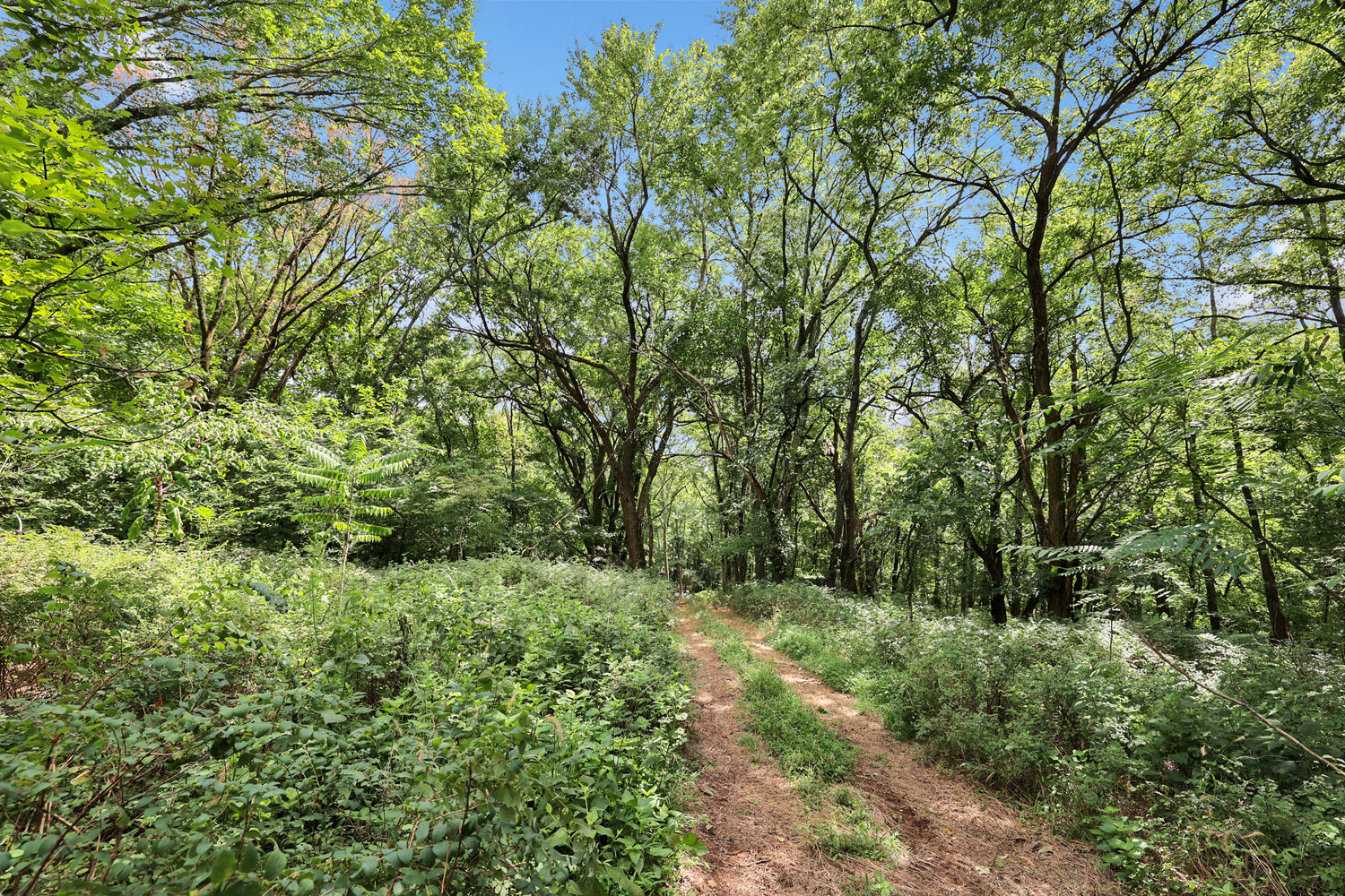 Image for 4303 Moore Lane, Culleoka