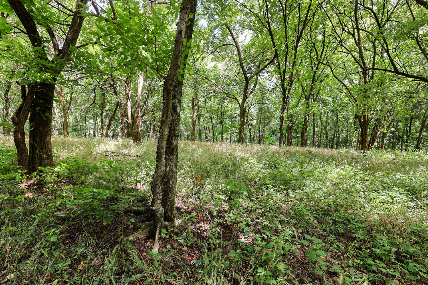 Image for 4303 Moore Lane, Culleoka