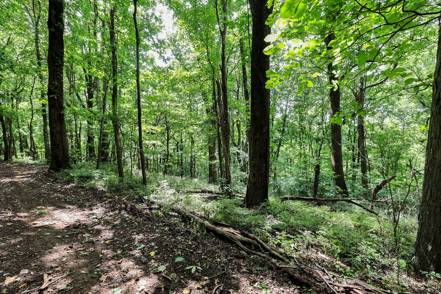 Image for 4303 Moore Lane, Culleoka