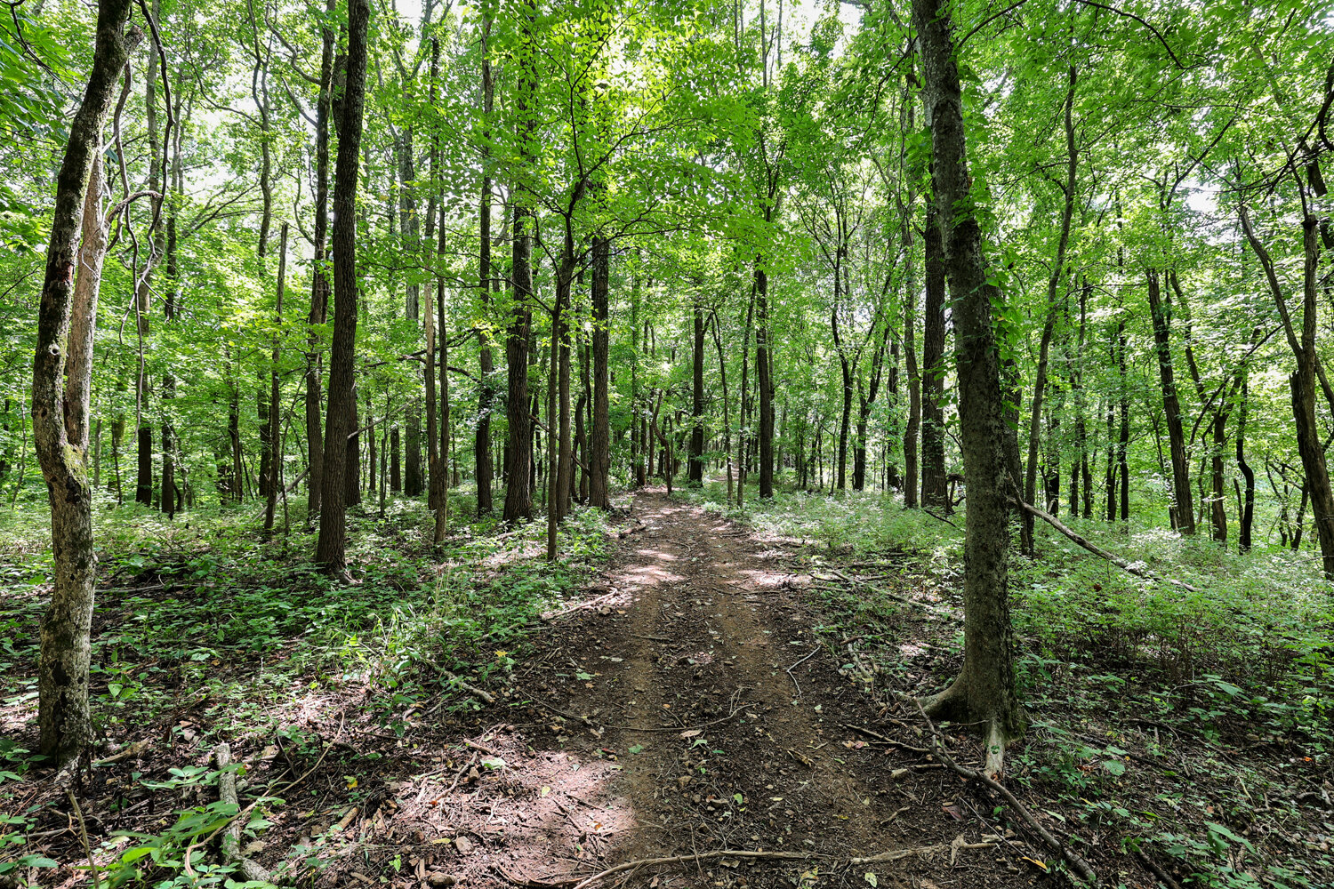 Image for 4303 Moore Lane, Culleoka