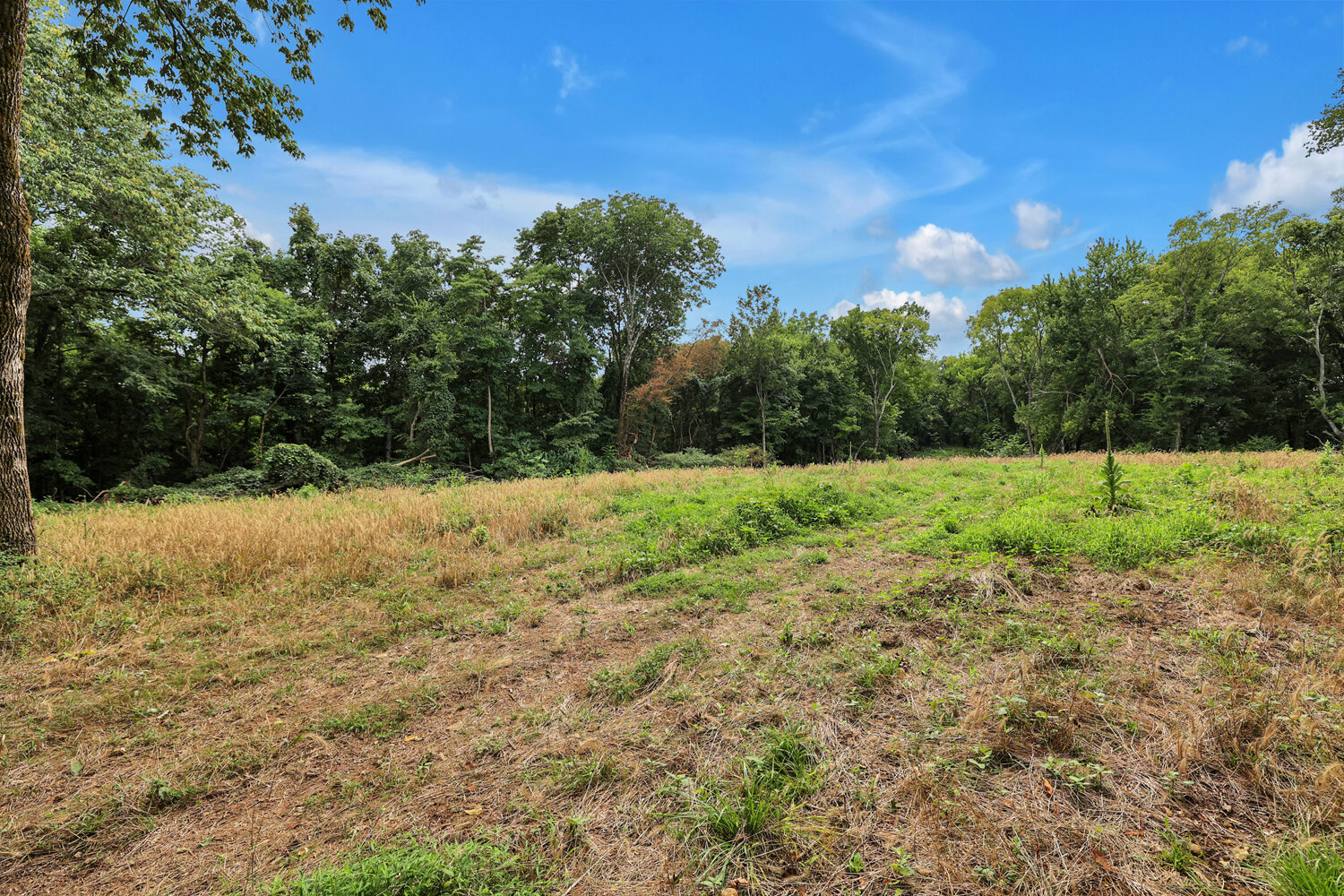 Image for 4303 Moore Lane, Culleoka