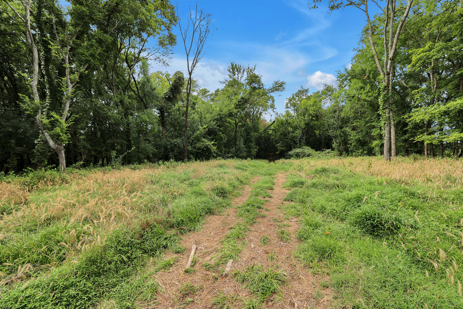 Image for 4303 Moore Lane, Culleoka