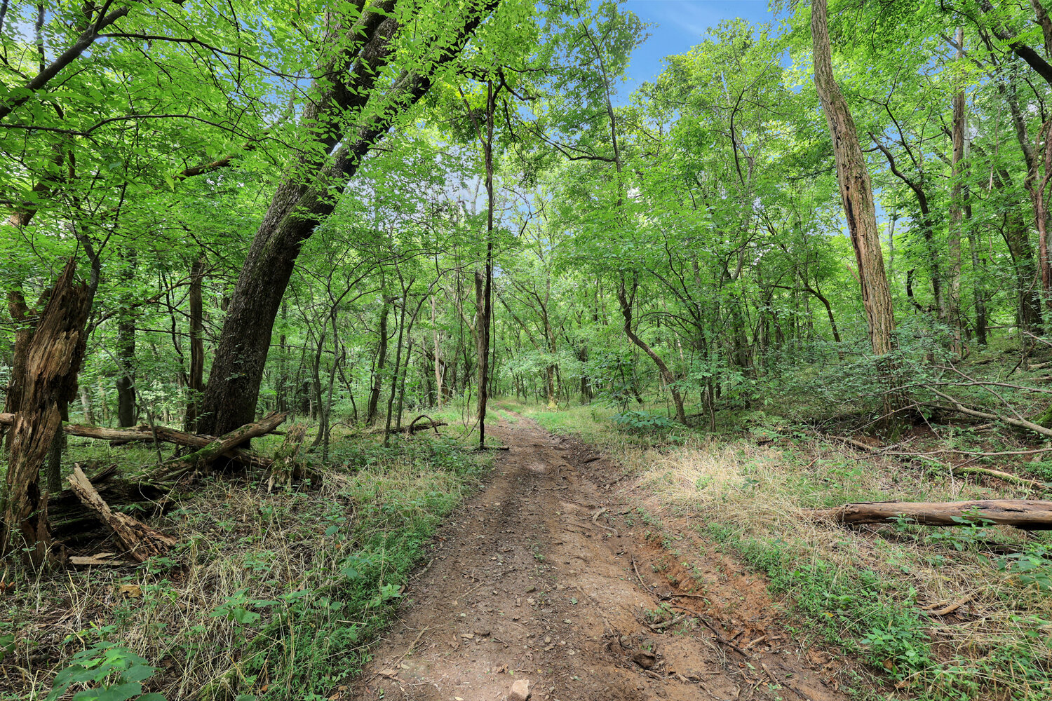 Image for 4303 Moore Lane, Culleoka