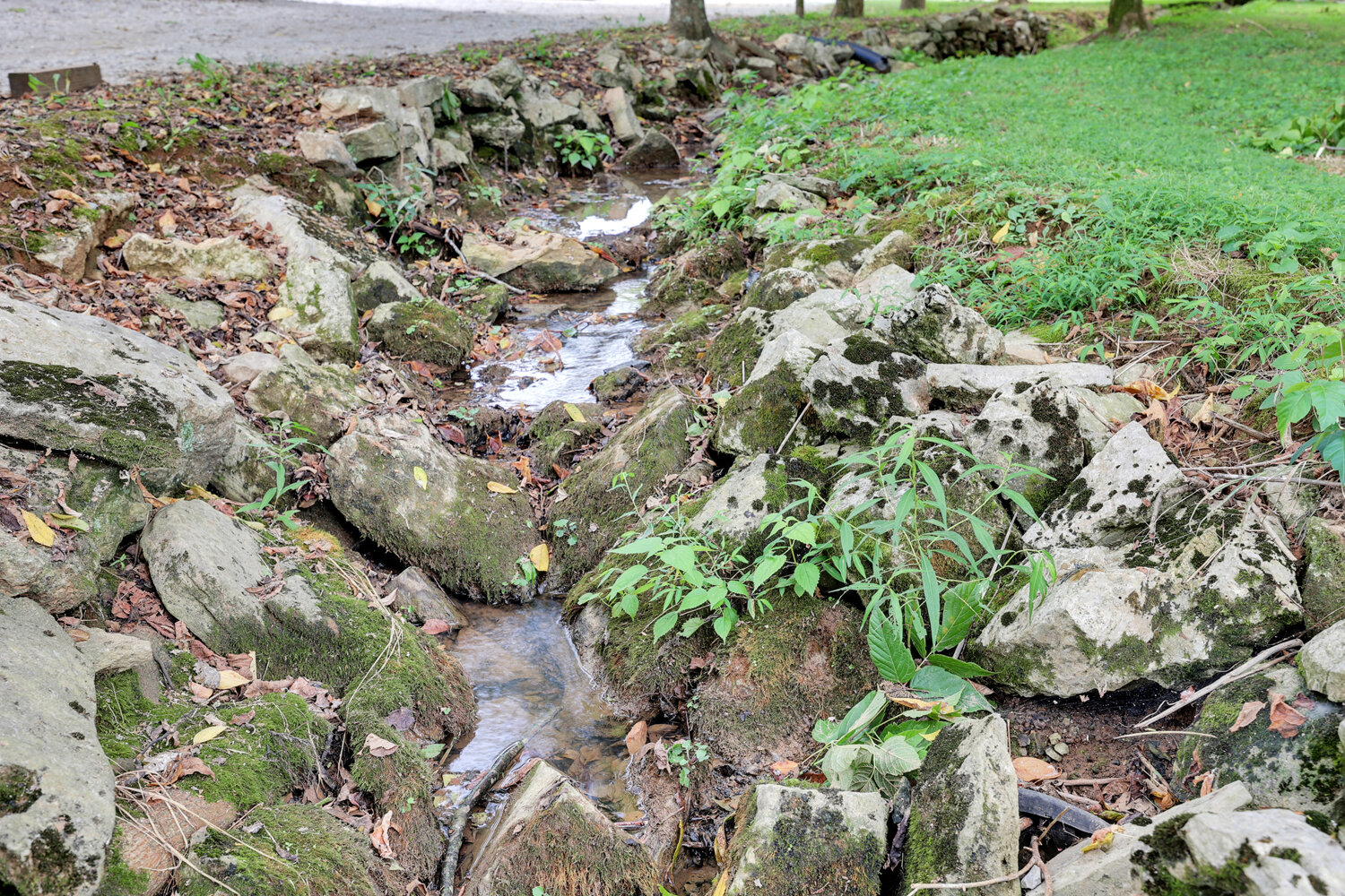 Image for 4303 Moore Lane, Culleoka