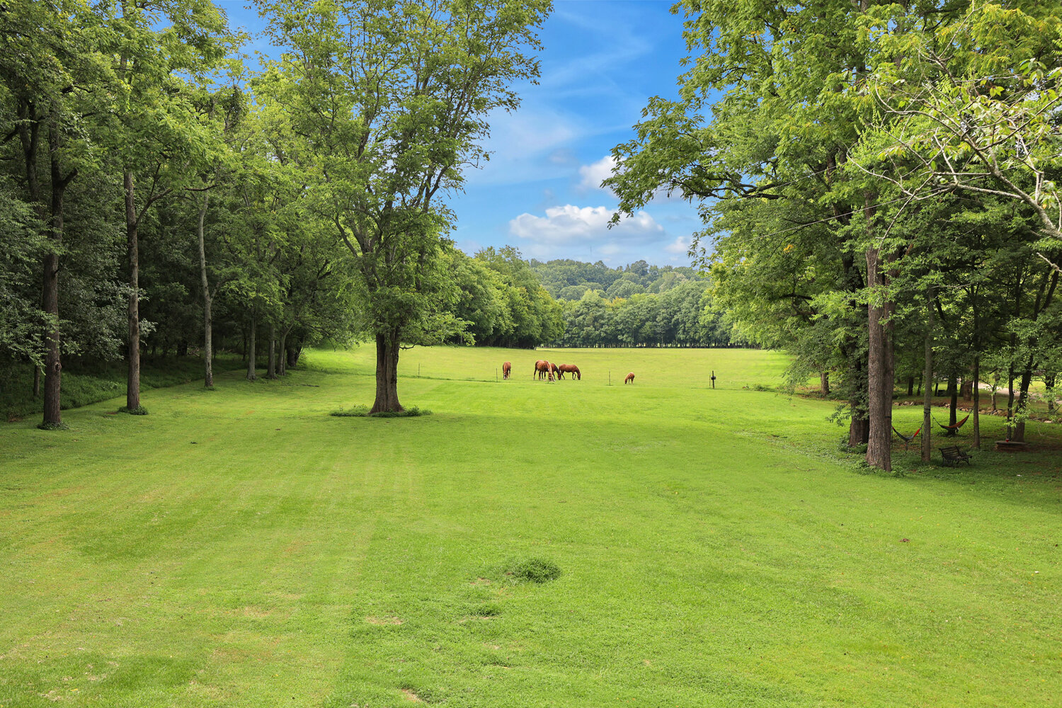 Image for 4303 Moore Lane, Culleoka