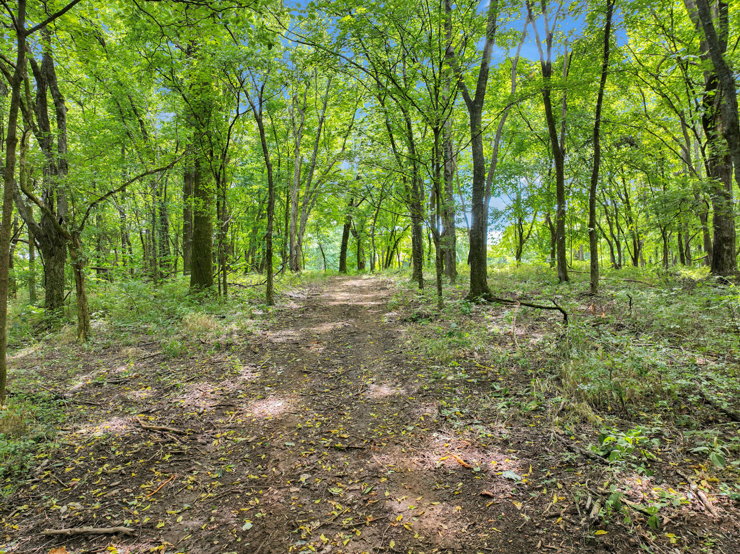 Image for 4303 Moore Lane, Culleoka