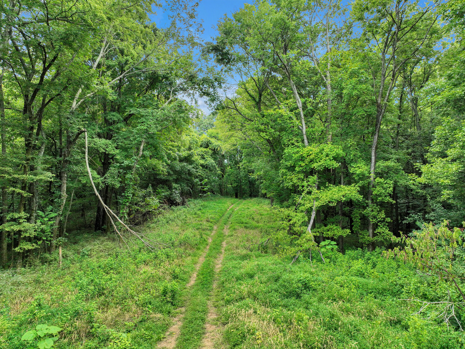 Image for 4303 Moore Lane, Culleoka