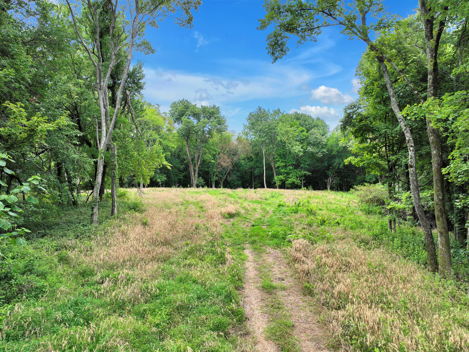 Image for 4303 Moore Lane, Culleoka