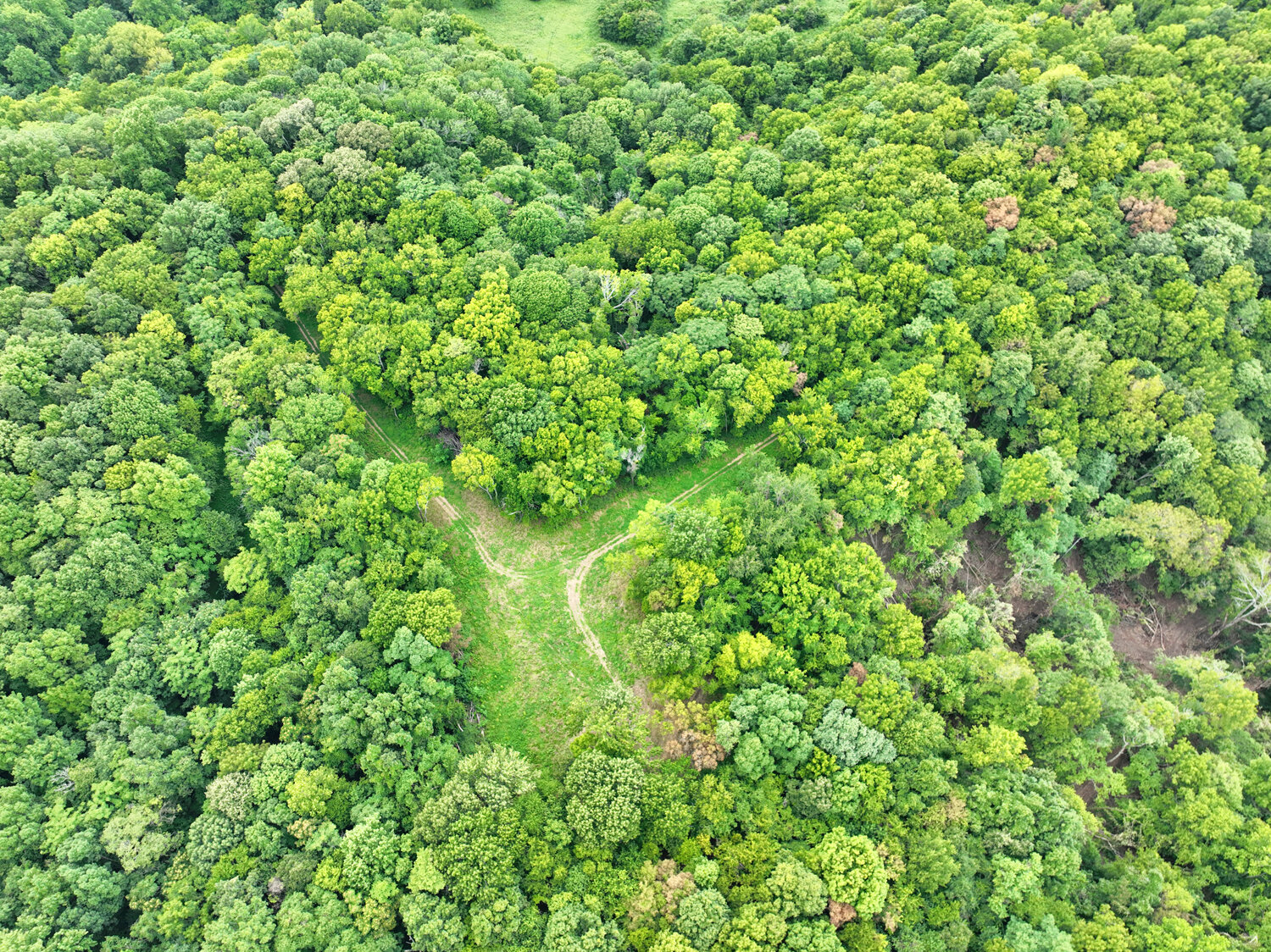 Image for 4303 Moore Lane, Culleoka