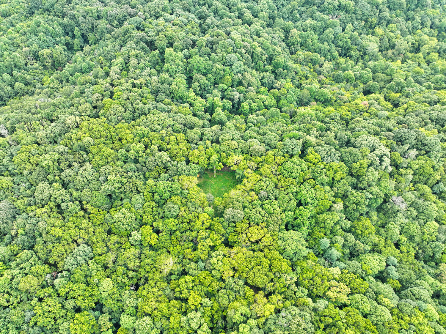 Image for 4303 Moore Lane, Culleoka