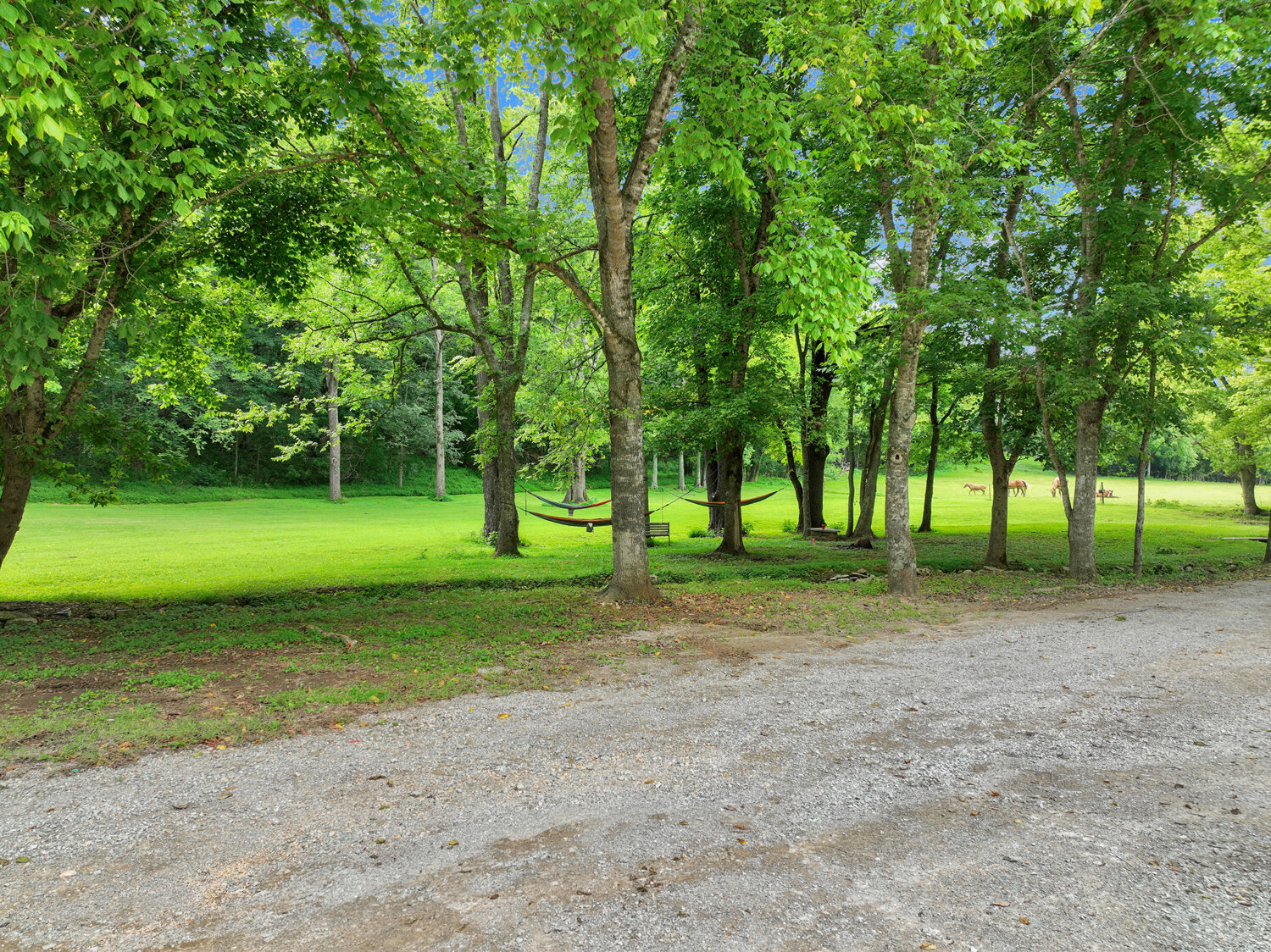 Image for 4303 Moore Lane, Culleoka