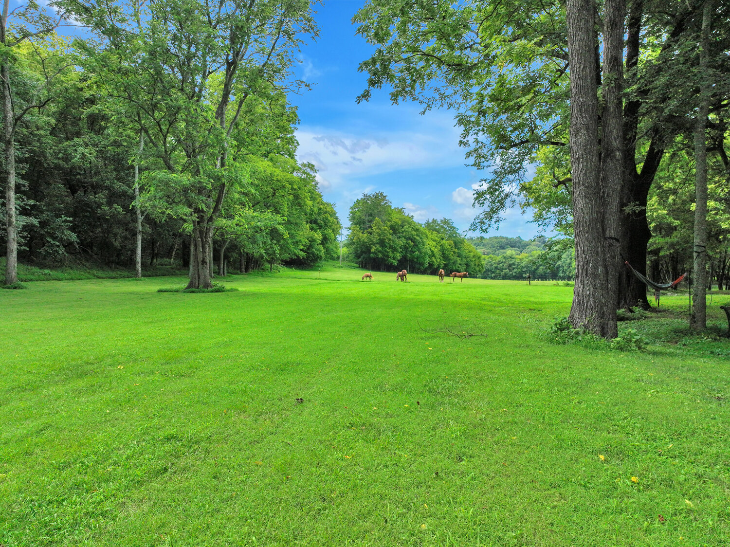 Image for 4303 Moore Lane, Culleoka