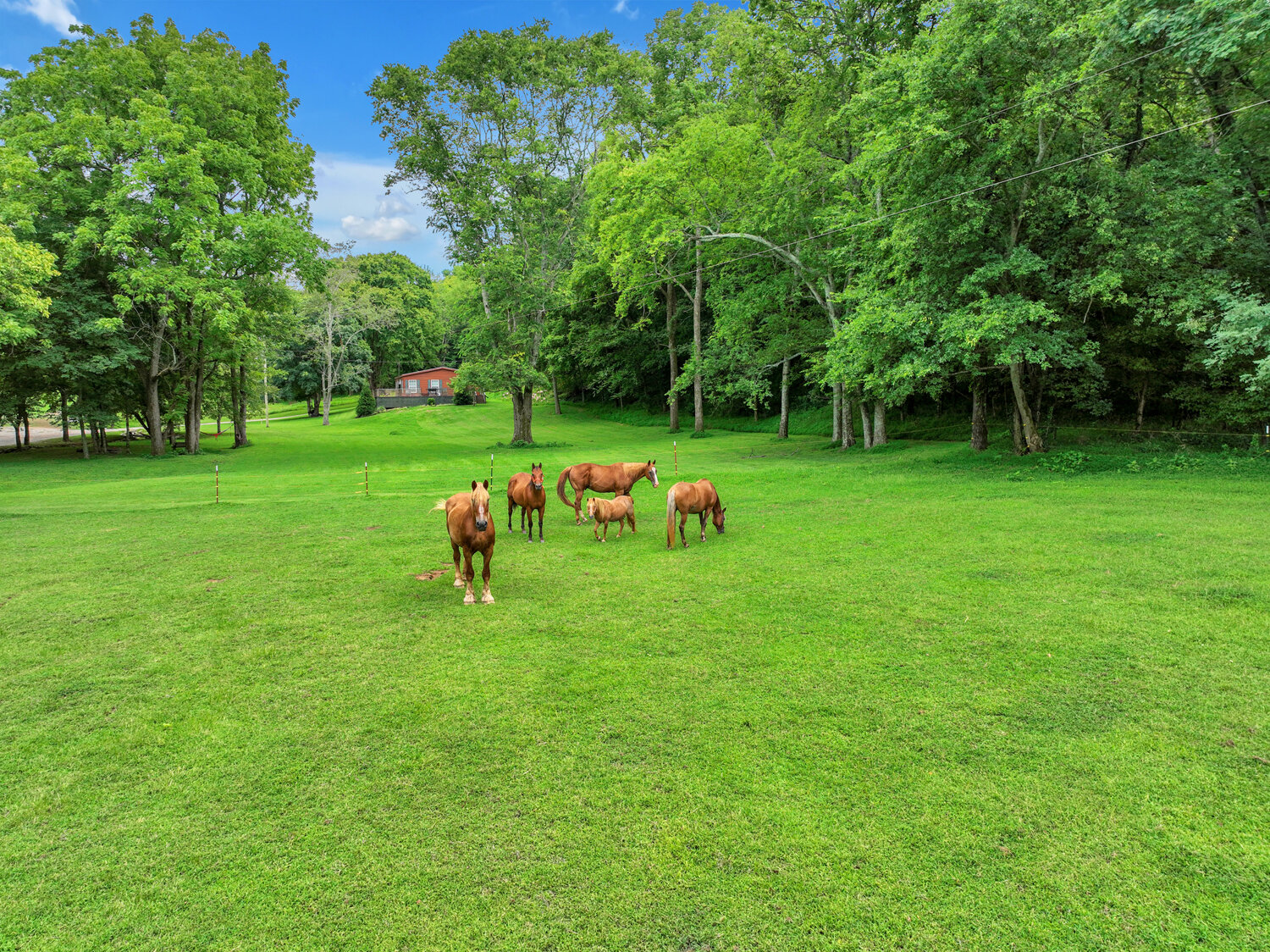 Image for 4303 Moore Lane, Culleoka