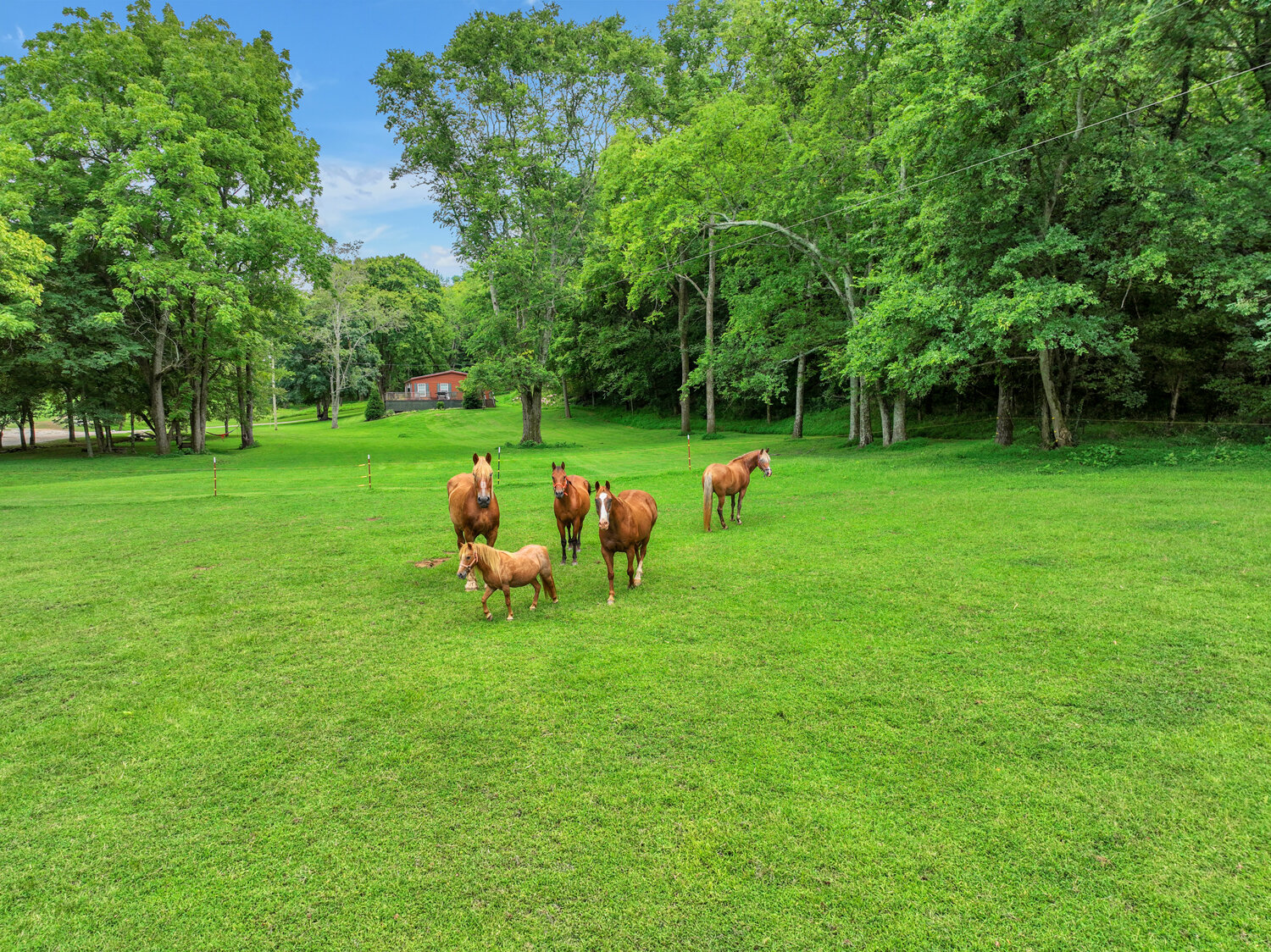 Image for 4303 Moore Lane, Culleoka