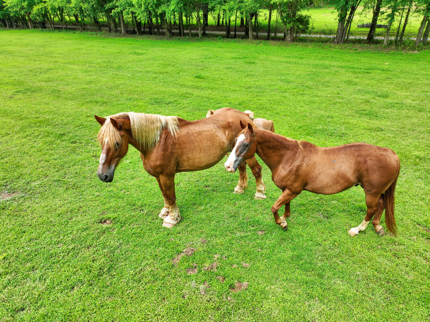 Image for 4303 Moore Lane, Culleoka