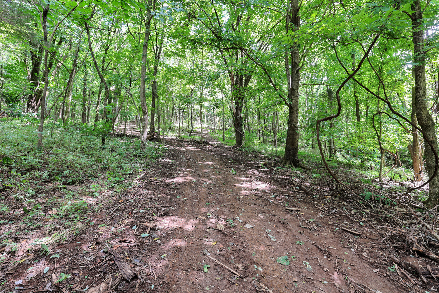 Image for 4303 Moore Lane, Culleoka