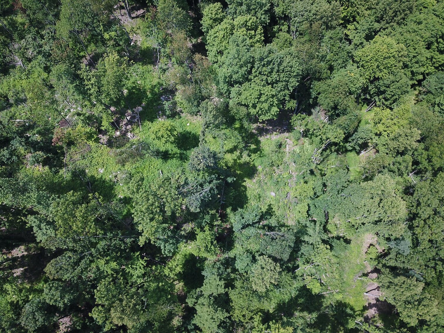 Image for SOLD $53,900 - 8 ½ Acres Near Teter Creek Lake