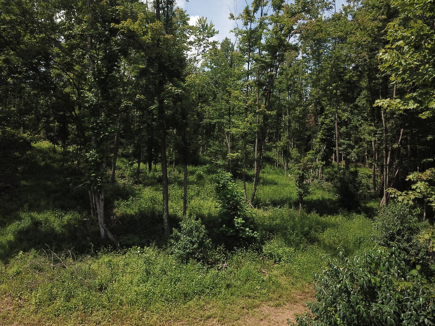Image for SOLD $53,900 - 8 ½ Acres Near Teter Creek Lake