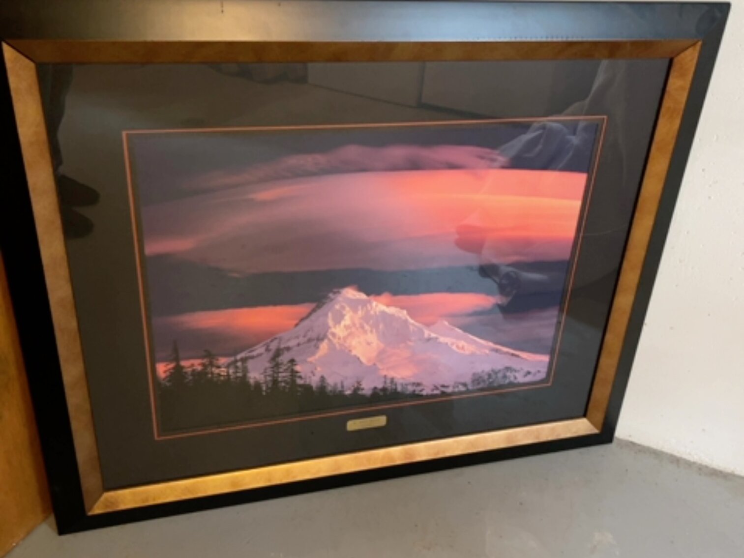 Mt. Hood Oregon Picture