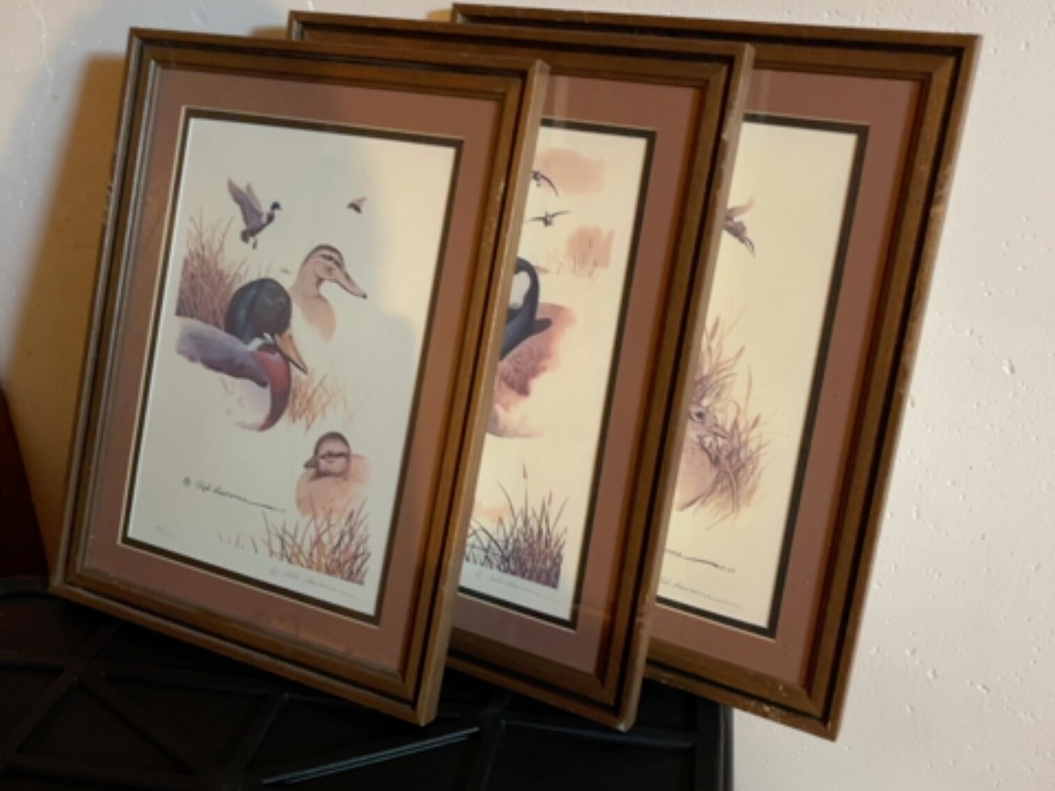 Ducks and Pheasants