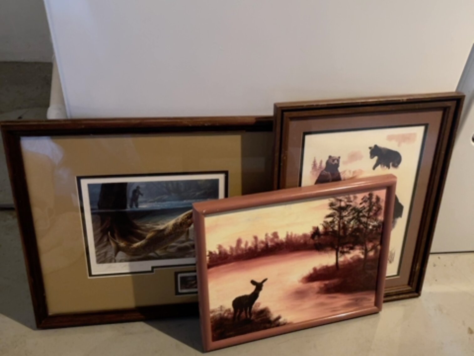 Wildlife Pictures