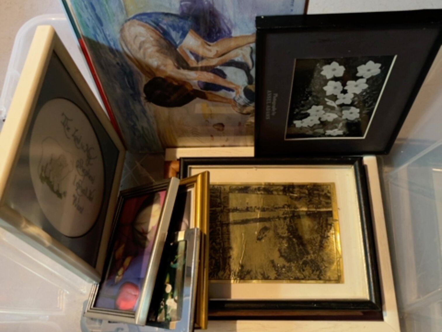 Tote of Miscellaneous Pictures
