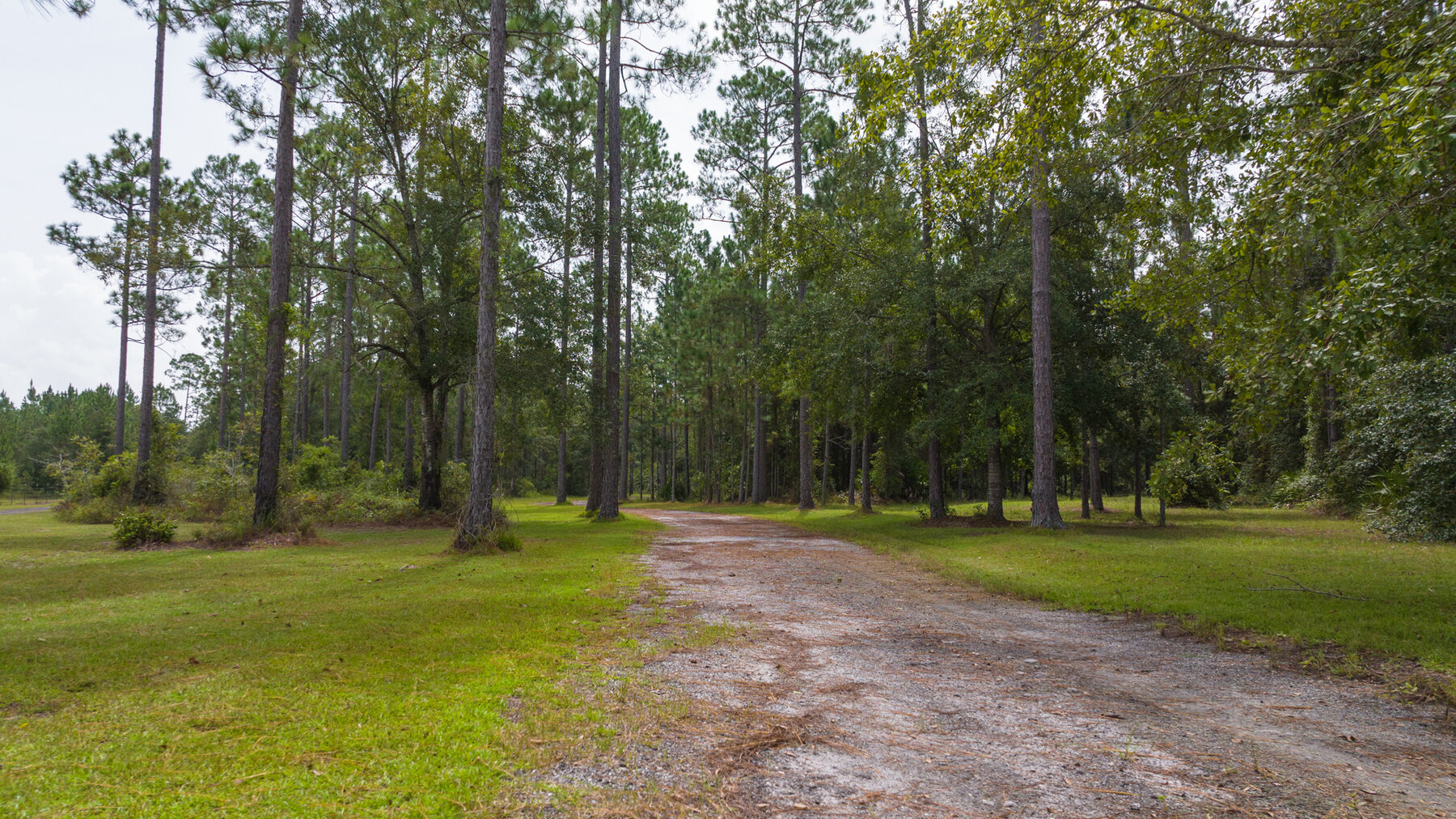 Image for Country Living in South Lowndes County: Home on 36.99 +/- Acres