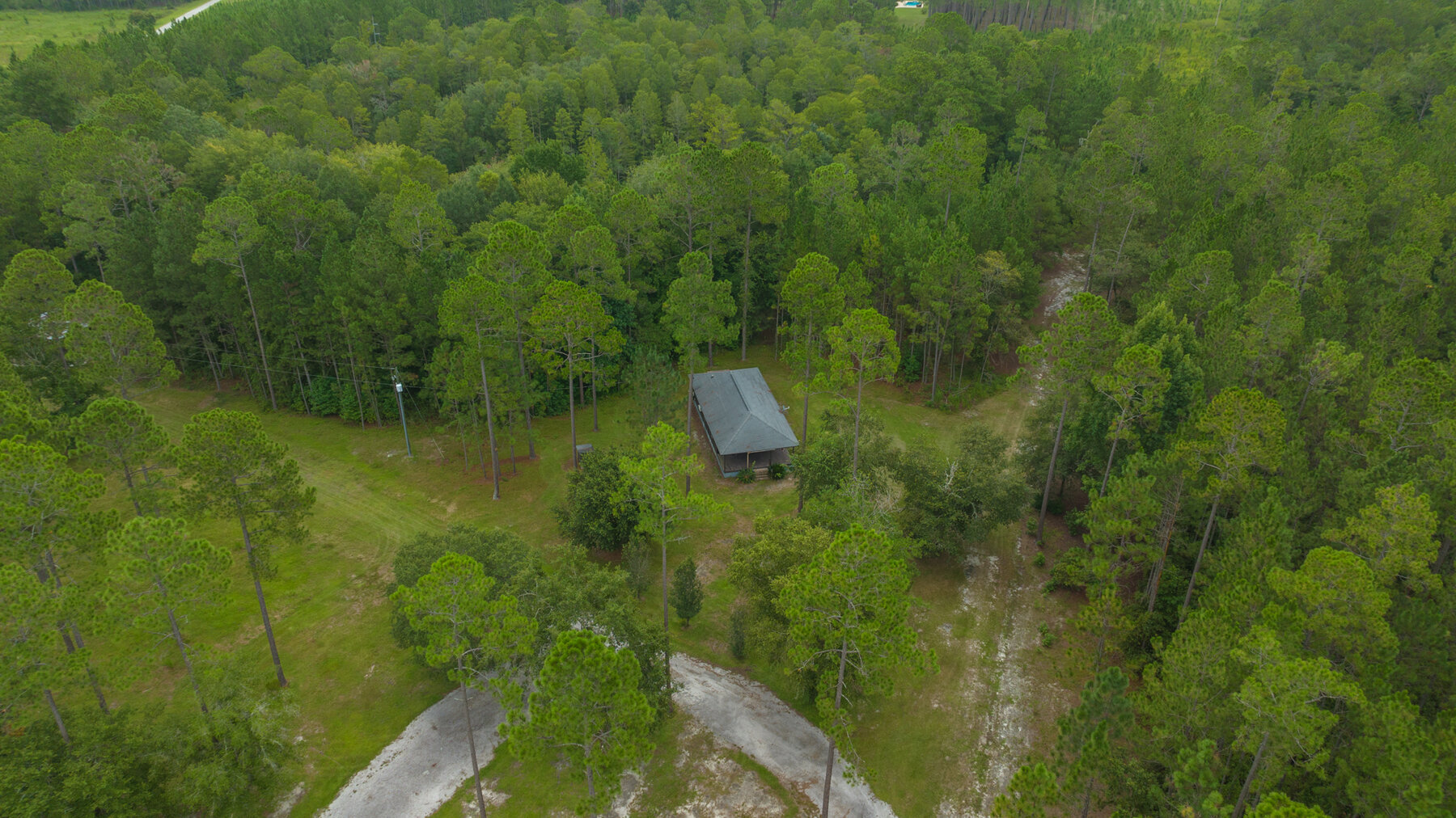 Image for Country Living in South Lowndes County: Home on 36.99 +/- Acres
