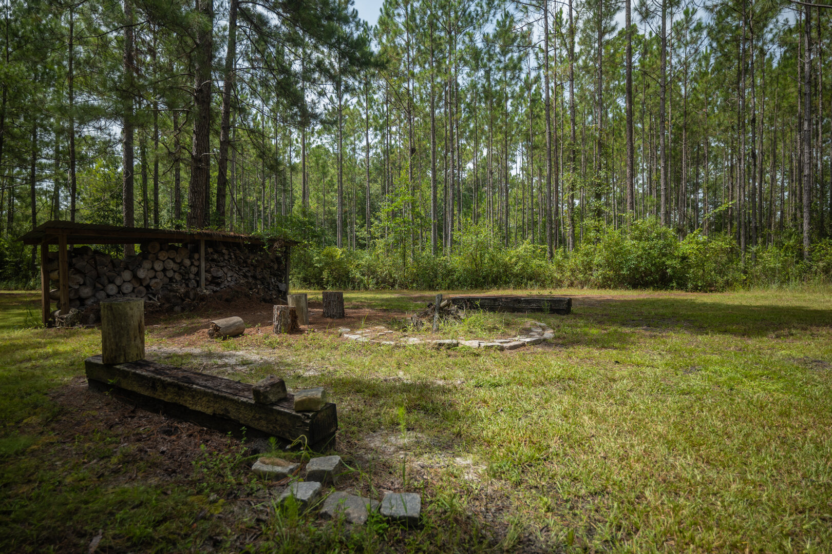 Image for Country Living in South Lowndes County: Home on 36.99 +/- Acres