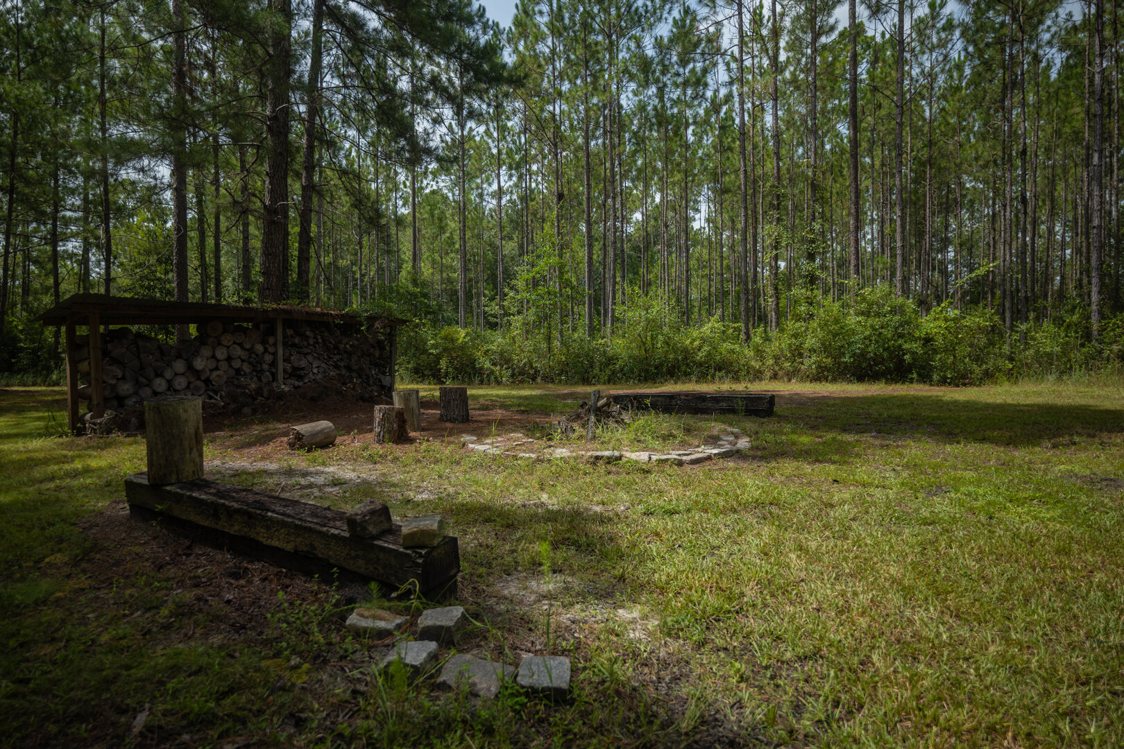 Image for Country Living in South Lowndes County: Home on 36.99 +/- Acres