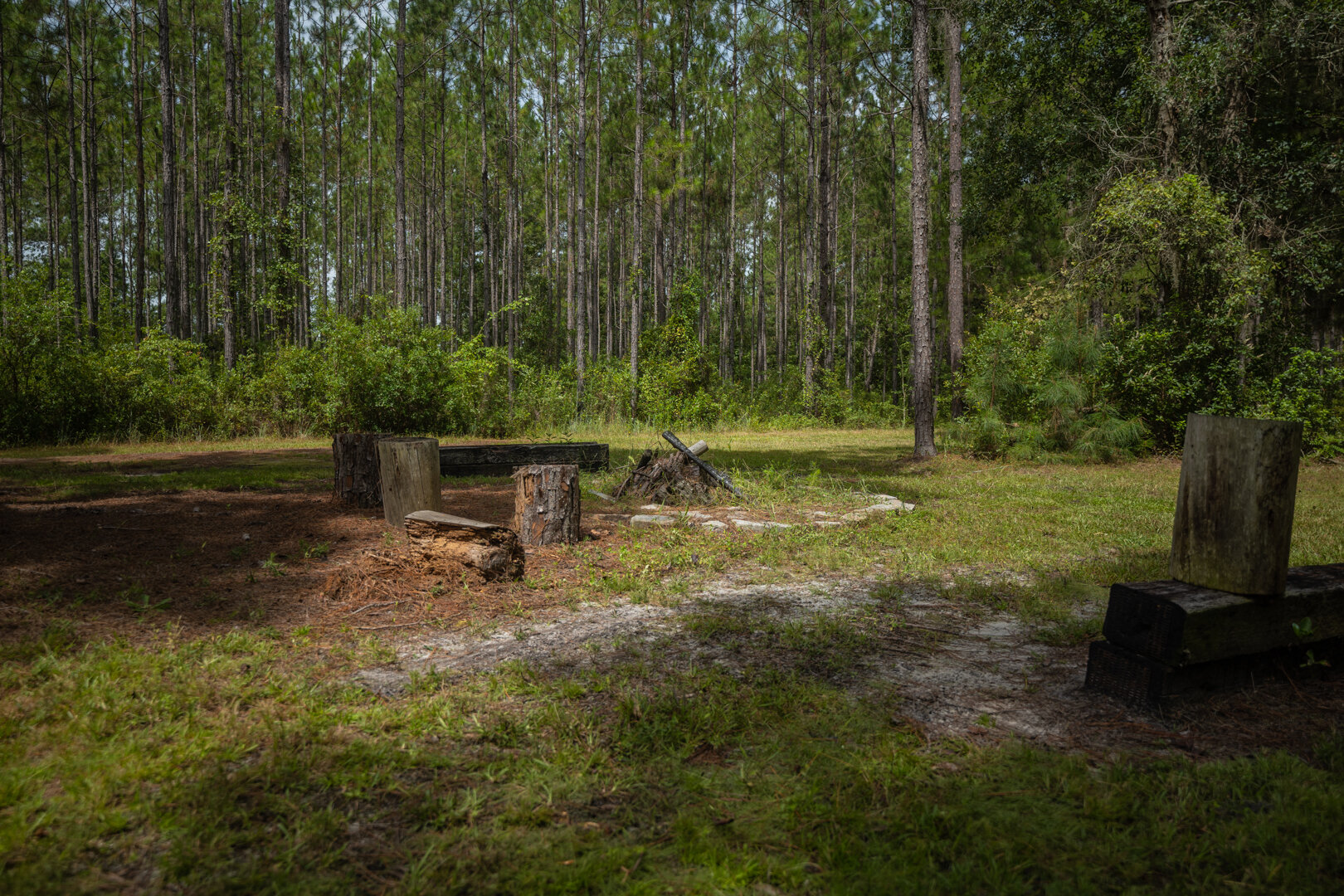 Image for Country Living in South Lowndes County: Home on 36.99 +/- Acres