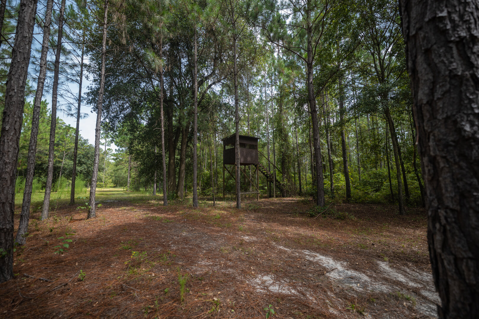 Image for Country Living in South Lowndes County: Home on 36.99 +/- Acres