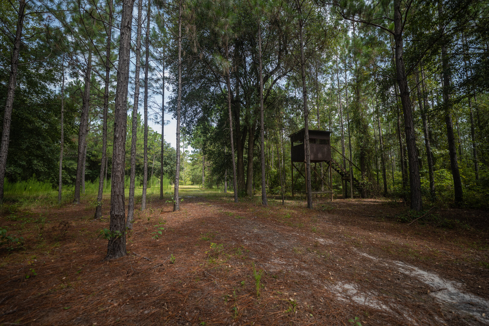 Image for Country Living in South Lowndes County: Home on 36.99 +/- Acres