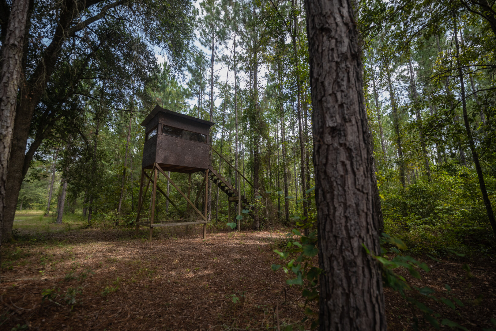 Image for Country Living in South Lowndes County: Home on 36.99 +/- Acres