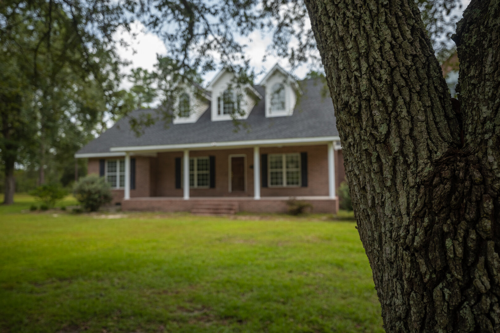 Image for Country Living in South Lowndes County: Home on 36.99 +/- Acres