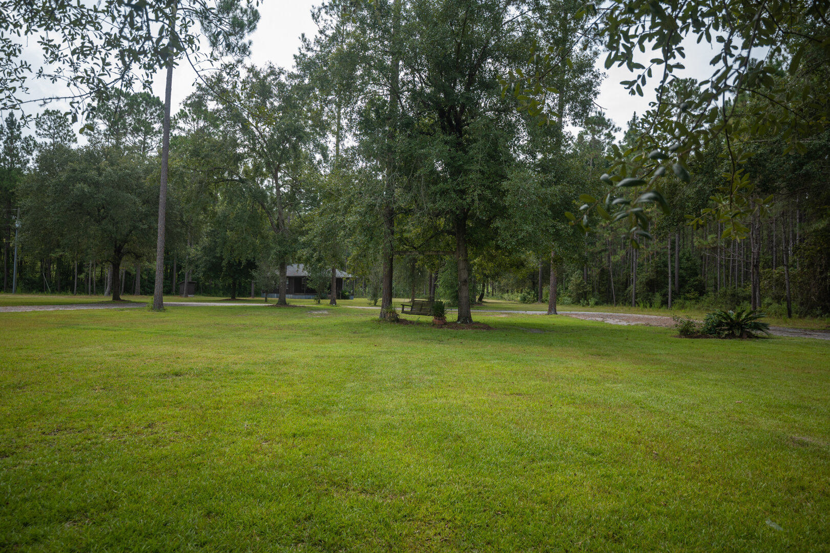 Image for Country Living in South Lowndes County: Home on 36.99 +/- Acres