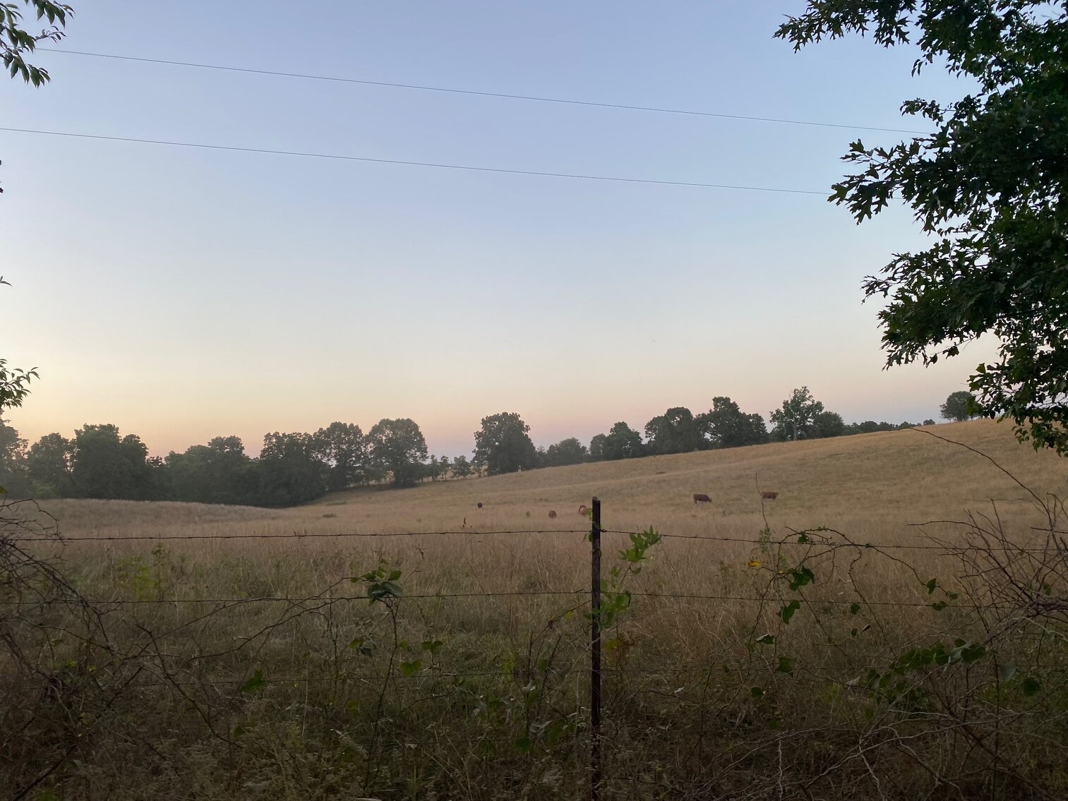 Image for REAL ESTATE | EQUIPMENT | PERSONAL PROPERTY AUCTION: MONDAY, SEPTEMBER 5TH, AT 10AM