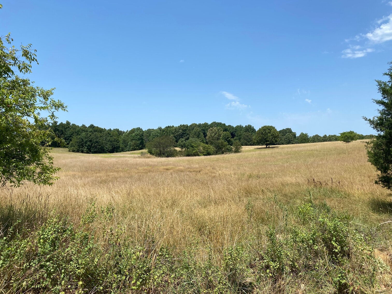 Image for REAL ESTATE | EQUIPMENT | PERSONAL PROPERTY AUCTION: MONDAY, SEPTEMBER 5TH, AT 10AM