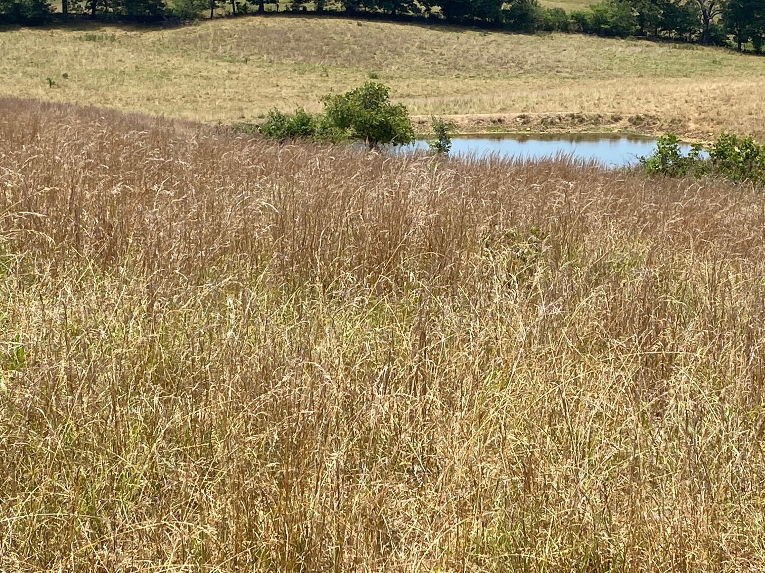 Image for REAL ESTATE | EQUIPMENT | PERSONAL PROPERTY AUCTION: MONDAY, SEPTEMBER 5TH, AT 10AM