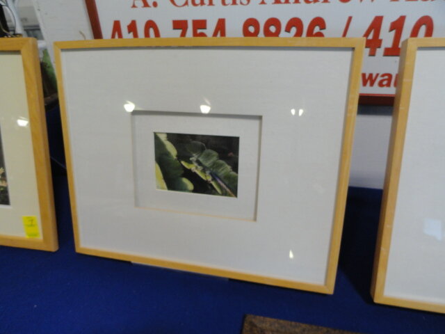 Image for Aug 18, 2022 Public Auction