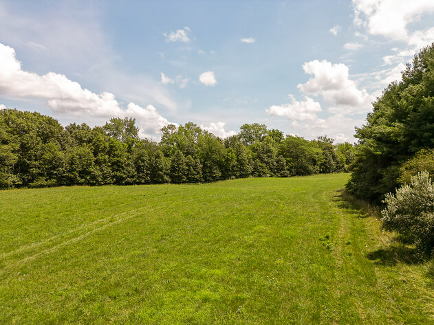 Image for Shelby County 10 Acres