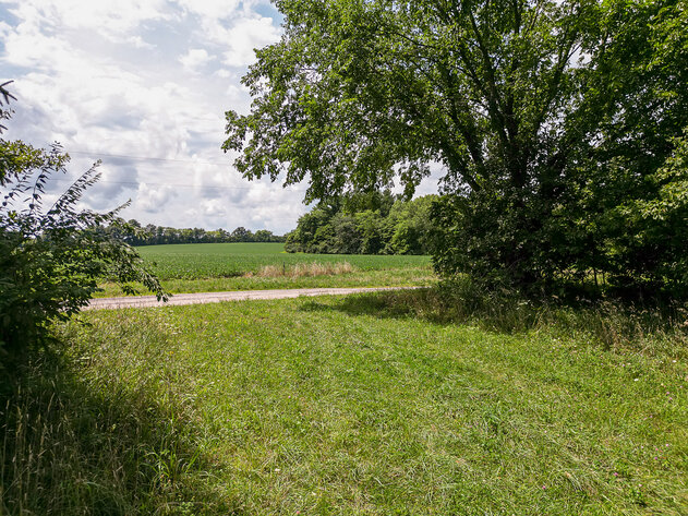 Image for Shelby County 10 Acres