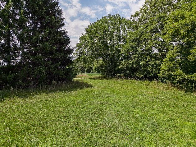 Image for Shelby County 10 Acres