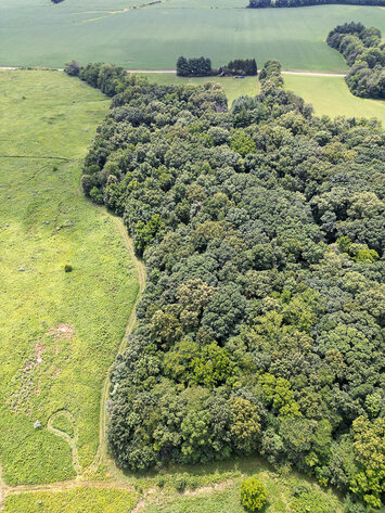 Image for Shelby County 10 Acres