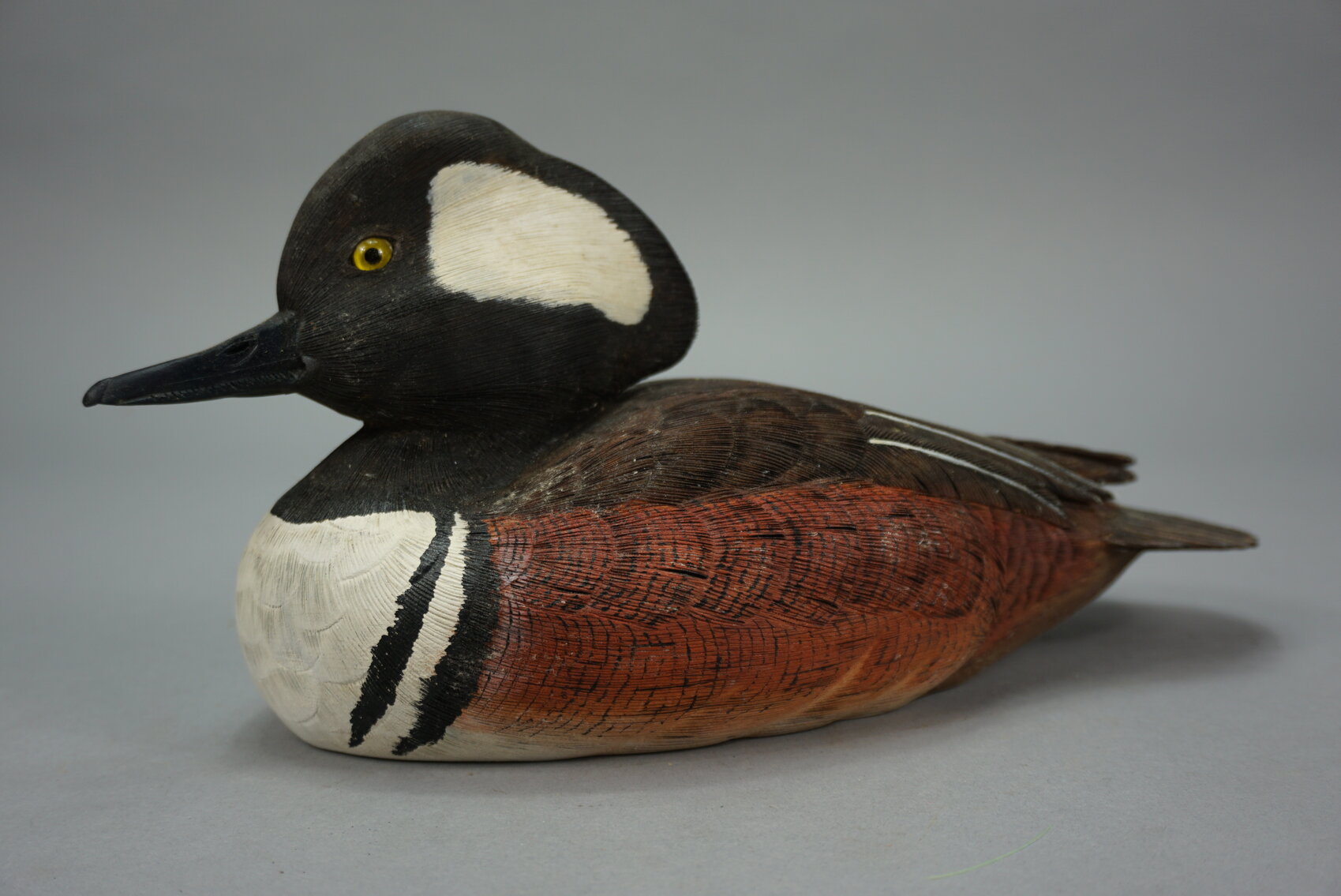 Image for September Online Sportsman's Auction 2022